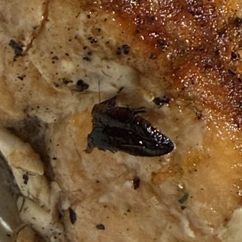Red Lobster - Roach on salmon - Seafood Near Me - Union, New Jersey
