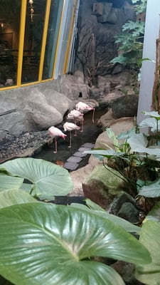 Underwater World Langkawi by null