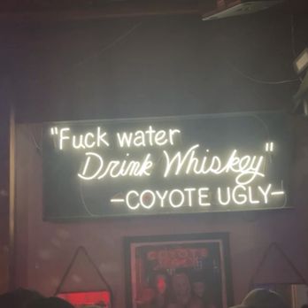 Coyote Ugly - Dive Bars Near Me - Tampa, Florida