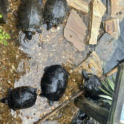 The Reptile Discovery Center
