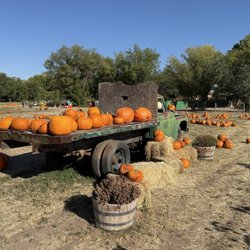 Big Jim Farms