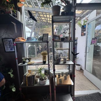 Ocean Beach Coffee and plants - Coffee & Tea Near Me - San Diego, California Ocean Beach Coffee and plants - Coffee & Tea Near Me - San Diego, California