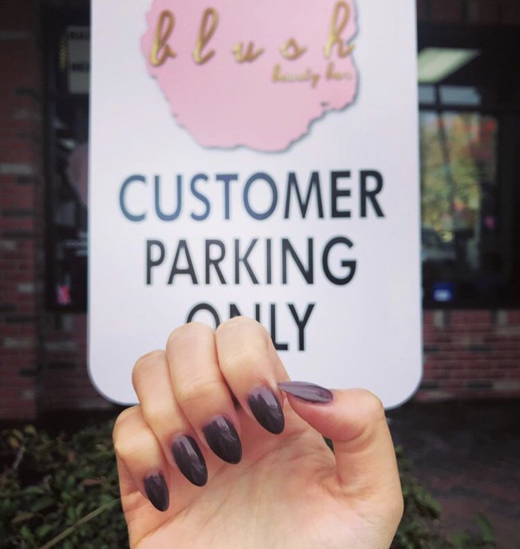 Blush Beauty Bar Logo