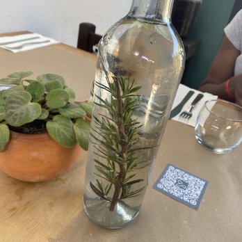 Cha' - Rosemary infused water - Restaurants Near Me - Puerto Vallarta, JAL