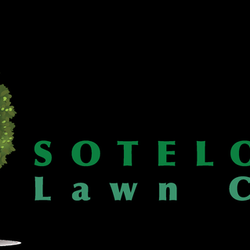 Sotelo's Tree & Lawn Care