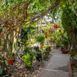 Hacienda Escondida - Hacienda Escondida, Puerto Vallarta, Mexico