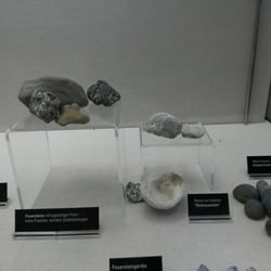 NATUREUM Darßer Ort - Sammlung