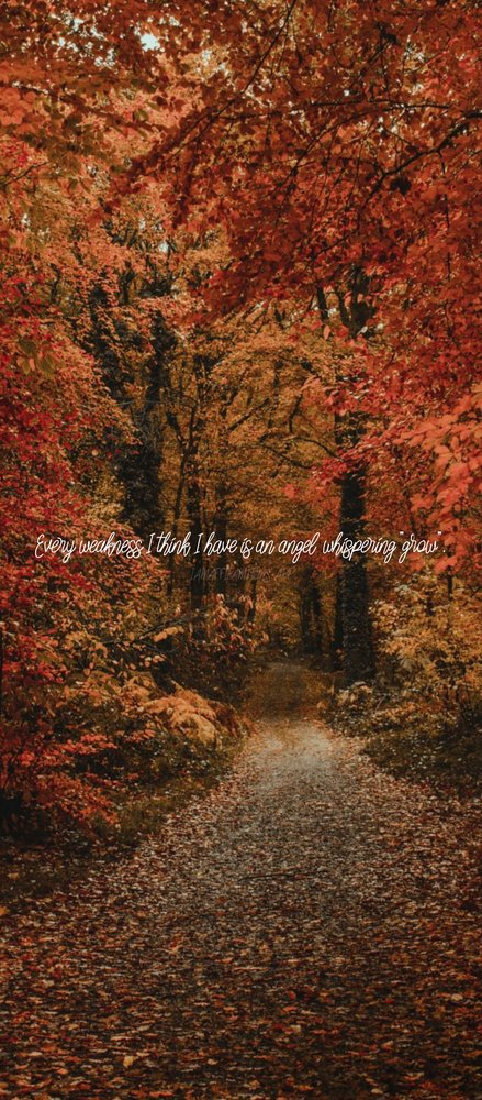 Slide of Mares Plumbing