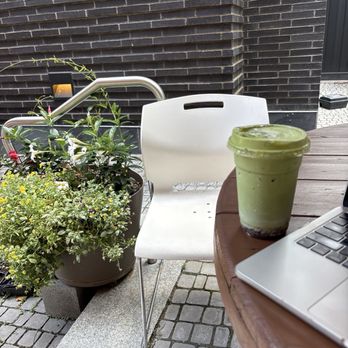 Green Haus Cafe - Pretty plants on the back patio - Cafes Near Me - Boston, Massachusetts