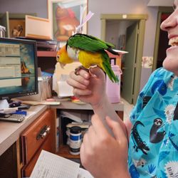 Marlborough Veterinary Clinic - It's not always all work and no play :)