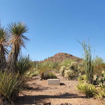 Desert Botanical Garden - Botanical Gardens Near Me - Phoenix, Arizona Desert Botanical Garden - Botanical Gardens Near Me - Phoenix, Arizona