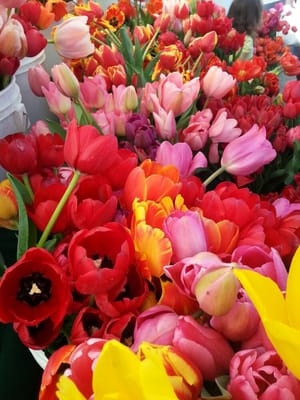 Temescal Farmer's Market by null