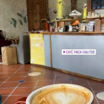 Finca Cialitos - Latte - Coffee Roasteries Near Me - San Juan, Puerto Rico Finca Cialitos - Latte - Coffee Roasteries Near Me - San Juan, Puerto Rico