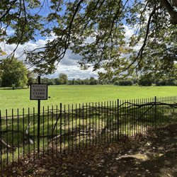 Christ Church Meadow