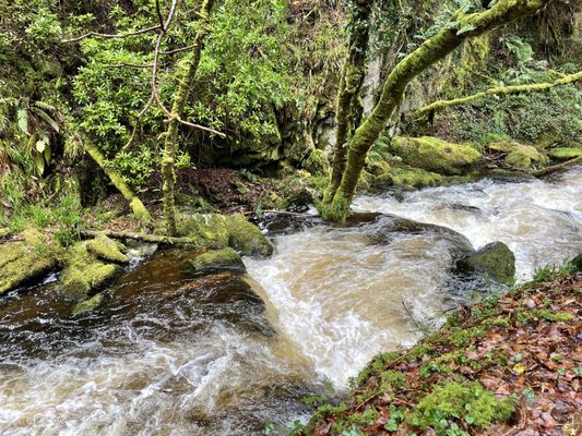 Torc Waterfall by null