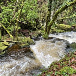 Torc Waterfall
