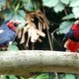 Photo of Tierpark Chemnitz