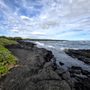 Photo of Punalu'u Black Sand beach