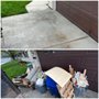 Photo of Jungle Co. Junk Removal