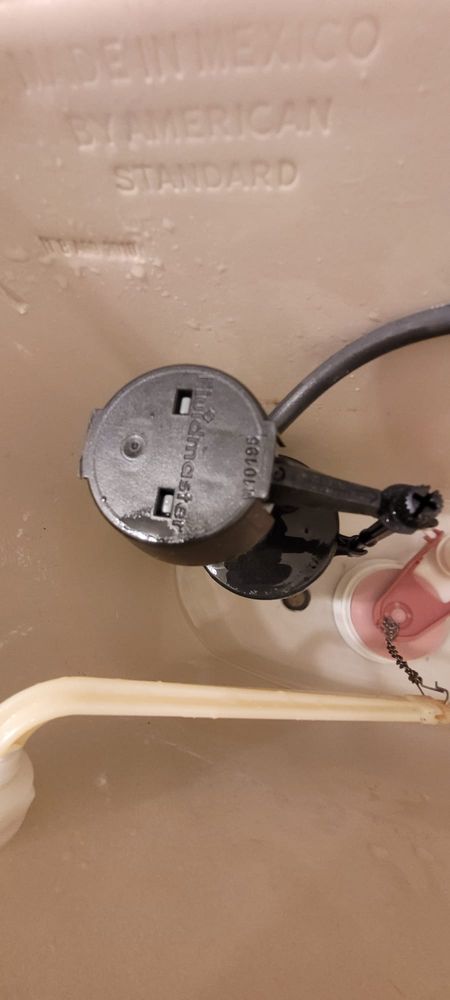 Slide of Petar Tachev