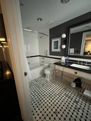 Le Méridien Dallas, The Stoneleigh by null