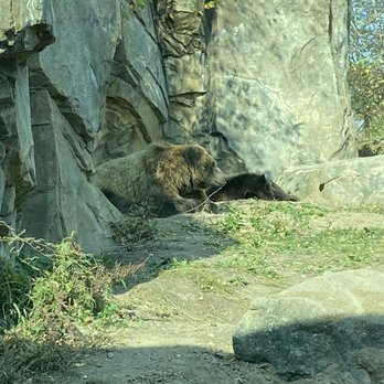 Minnesota Zoo - Zoos Near Me - Apple Valley, Minnesota Minnesota Zoo - Zoos Near Me - Apple Valley, Minnesota