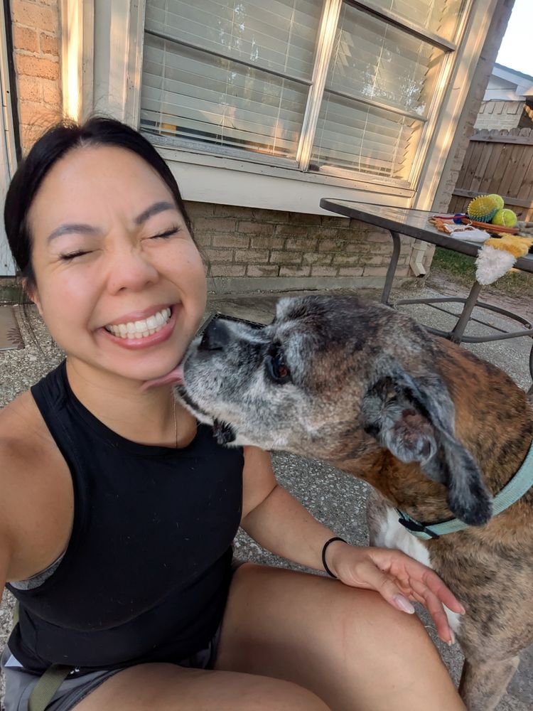 Amina's - pet boarding facility in Houston, TX