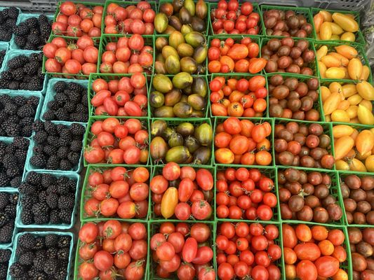 LA Rivers Farmers' Market by null