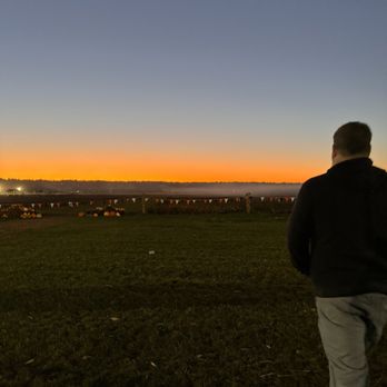Stocker Farms - Sunset and fog over the corn fields- we stayed between the fall fest and the STALKER farms haunts and captured the golden hour. - Christmas Trees Near Me - Snohomish, Washington