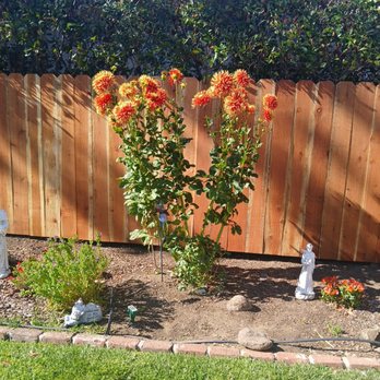 Ergeon - Fences & Gates Near Me - San Jose, California