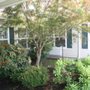 Photo of Gibson Creek by Bonaventure