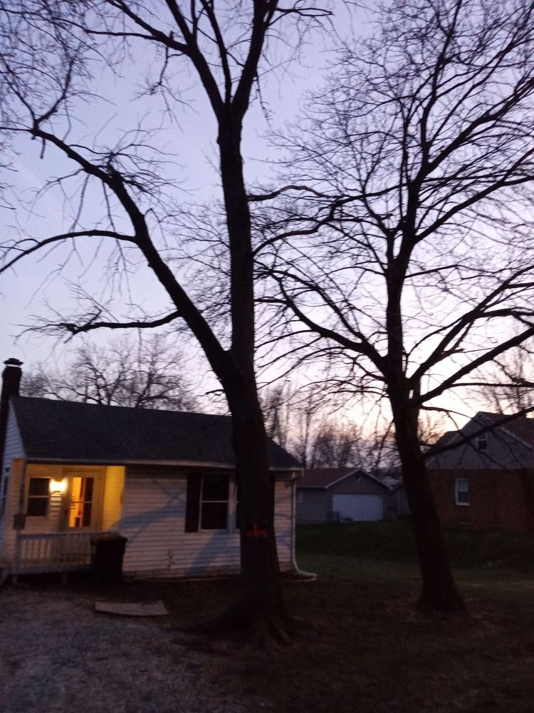 Beyer Enterprises Tree Service - tree service in Roanoke, IL