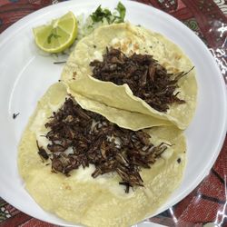 Mi Sazon Oaxaca