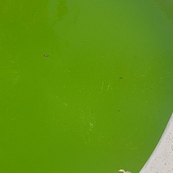 Bakersfield Pool Supply - This what you get if you use Bakersfield pool supply for your monthly service. - Hot Tub & Pool Near Me - Bakersfield, California
