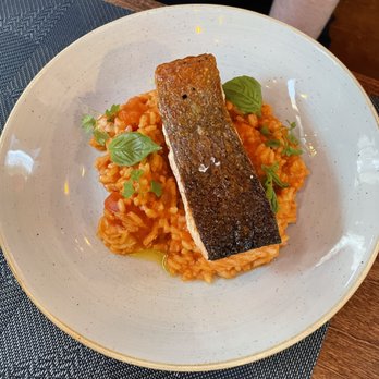 Dolly's - ROASTED SALMON    seafood risotto, confit tomatoes, topped with basil - Cocktail Bars Near Me - New York, New York