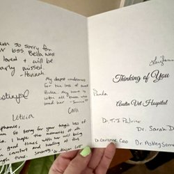 Austin Vet Hospital