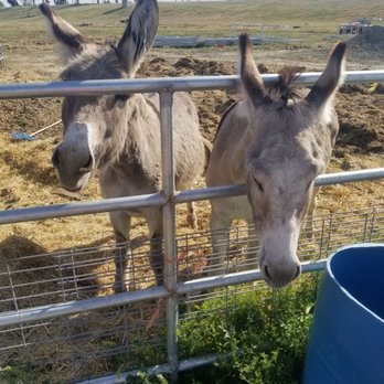 Rancho Vet Tack Feed & Supply - Livestock Feed & Supply Near Me - Hemet, California Rancho Vet Tack Feed & Supply - Livestock Feed & Supply Near Me - Hemet, California