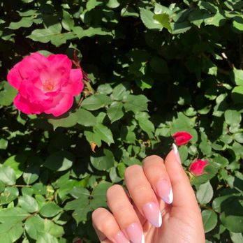 Beverly Nails Spa - Full-set w/design - Nail Salons Near Me - Raleigh, North Carolina