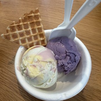 Jeni's Splendid Ice Creams - Wildberry Lavender Pint Rainbow - Ice Cream & Frozen Yogurt Near Me - Chicago, Illinois