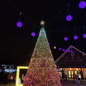 Oregon ZooLights - Zoos Near Me - Portland, Oregon Oregon ZooLights - Zoos Near Me - Portland, Oregon