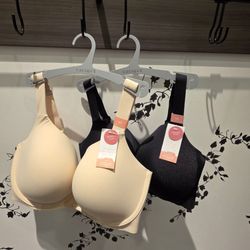 Lane Bryant