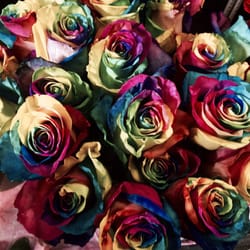Golden Petal Florist - Beautiful Rainbow Roses