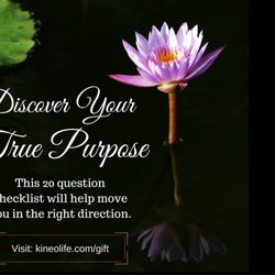 Discover Your True Purpose