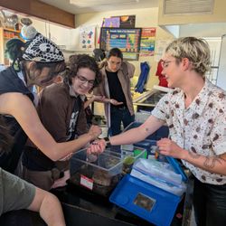 Entomology Guest Speaker with live insects in a High School class.