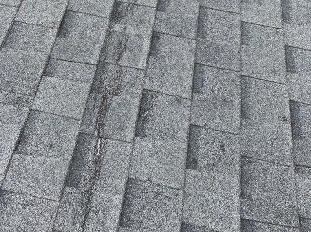 Slide of Refined roofing and exteriors