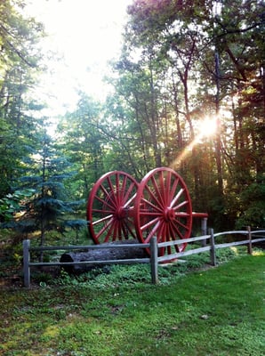 Interlochen State Park by null