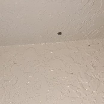 Wellington Apartments - Mold in the bathroom walls. - Apartments Near Me - Clearwater, Florida Wellington Apartments - Mold in the bathroom walls. - Apartments Near Me - Clearwater, Florida