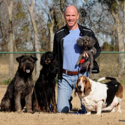 Zen Dogs - Zen Dogs owner John with his dogs Lucas, Jade, Jolie and Fred.