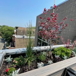 Urban Gardens By Paul