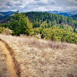 Rattlesnake National Recreation Area and Wilderness - Coronavirus 2020 - Social Distancing